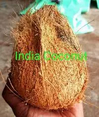 Indian Coconut