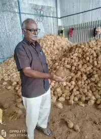 Fresh Coconut