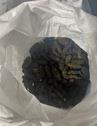 Sea Cucumber -Deep Water Red Fish