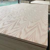 Red Oak Plywood