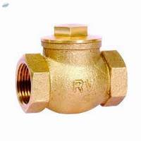 Swing Check Valve