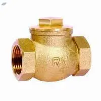 Swing Check Valve