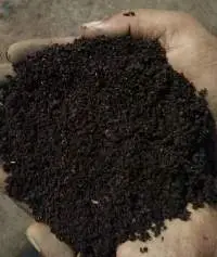 Vermicompost