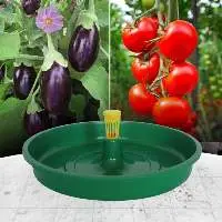 Water Trap - Green