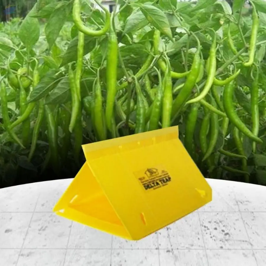 Delta Trap