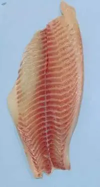 Premium Frozen Non Deep Skin Tilapia Fillets