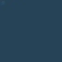 Reactive Black 5