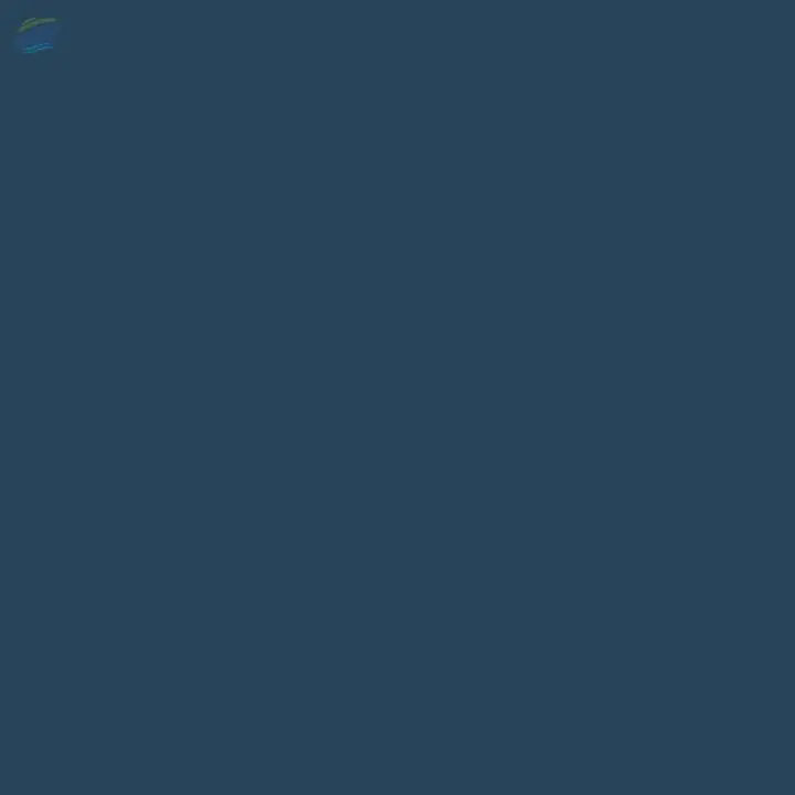 Reactive Black 5