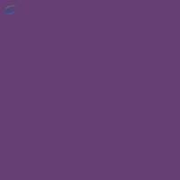 Reactive Violet 1