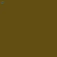 Acid Brown 425