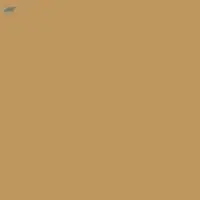 Acid Brown 48