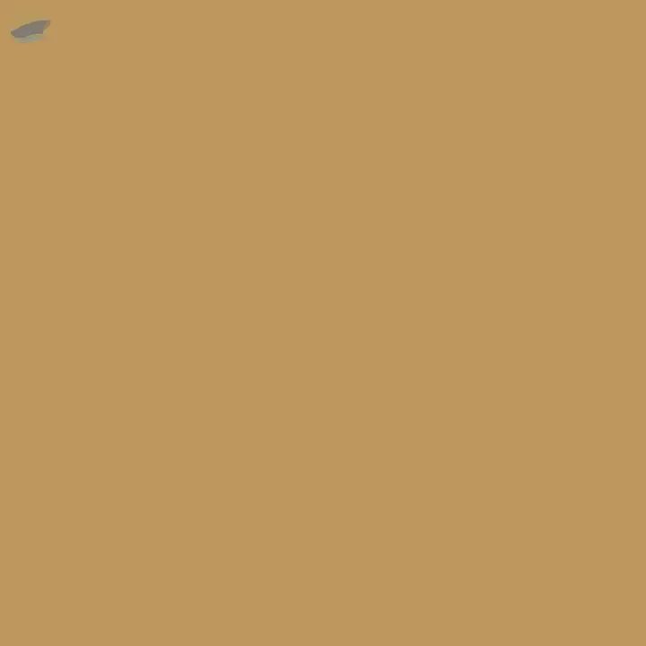 Acid Brown 48