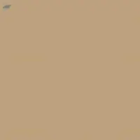 Acid Brown 191