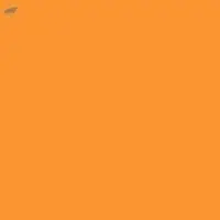 Acid Orange 10