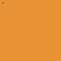 Acid Orange 24