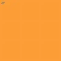 Acid Orange 67