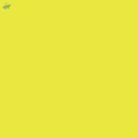 Solvent Yellow 56