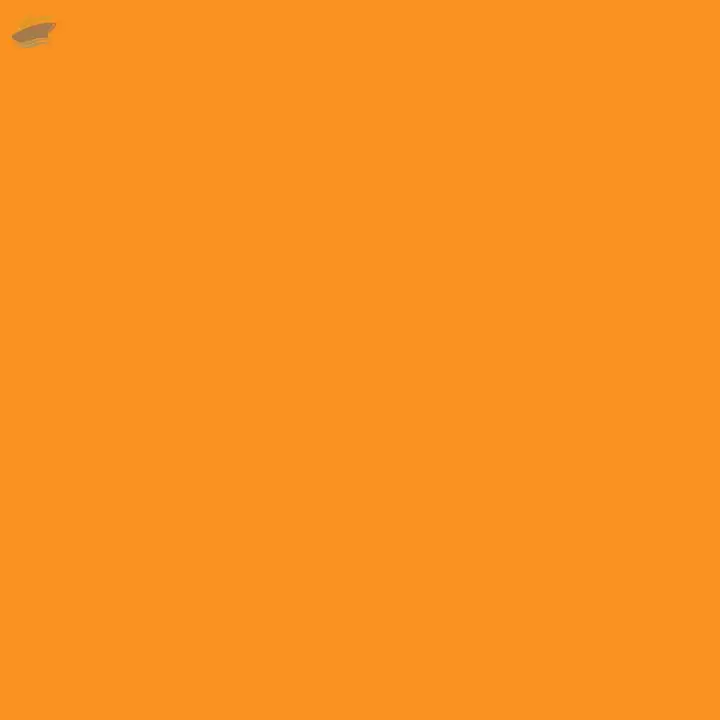 Solvent Orange 2