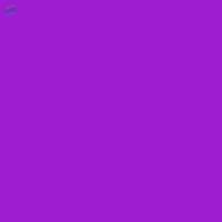 Solvent Violet 13