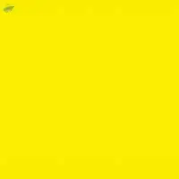 Basic Yellow 2