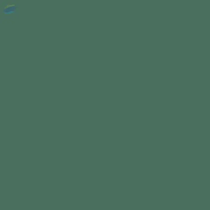 Basic Green 4