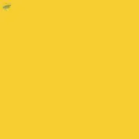 Direct Yellow 28