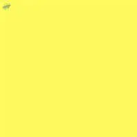 Direct Yellow 44