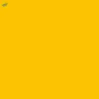 Direct Orange 39