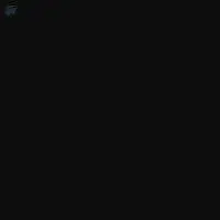 Direct Black 22