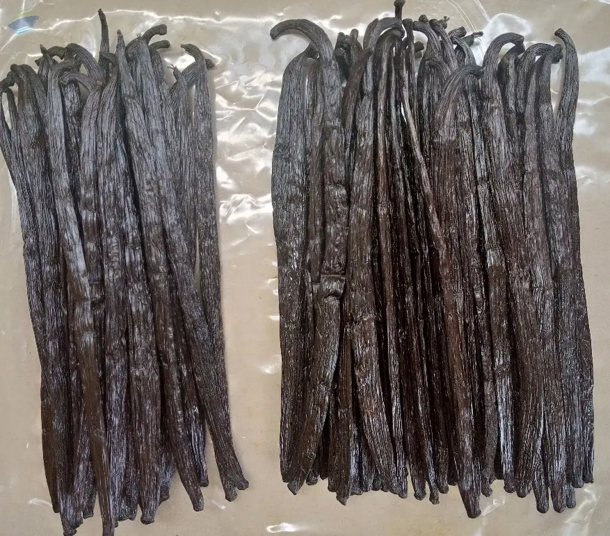 Premium Natural Vanilla