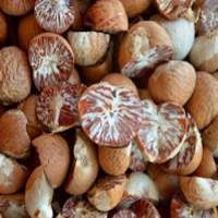Premium Dried Betel Nut Areca Nuts