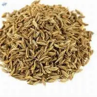 Cumin Seeds