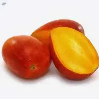 Alphonso Mango