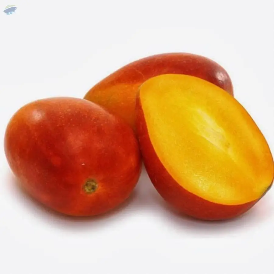 Alphonso Mango