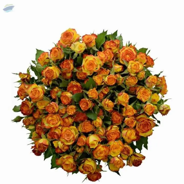 Eyeliner Flowers