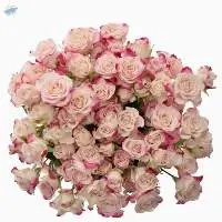 Reflex Flowers