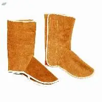 Leg Guard