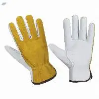 AL D011 Driving Gloves