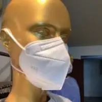 FFP3 Fold Mask