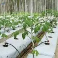 Grow Bags