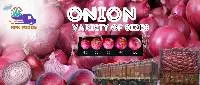 Onion