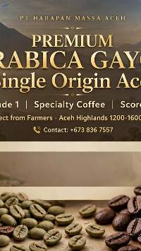 Premium Coffee Arabica Gayo Aceh Indonesia