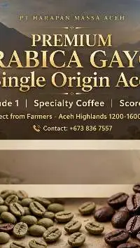 Premium Coffee Arabica Gayo Aceh Indonesia