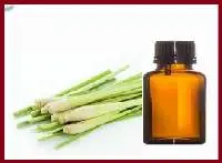 Citronella Oil