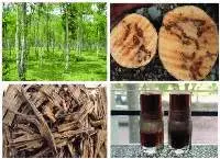 Agarwood Oil  