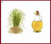 Vetiver Essential Oil