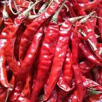 Teja S17 Dried Red Chillies