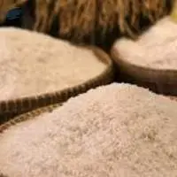 Rice Grain