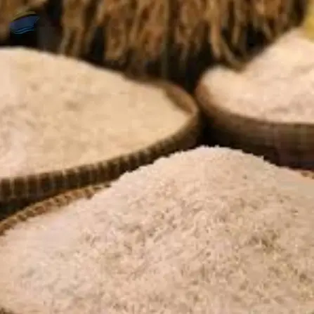 Rice Grain