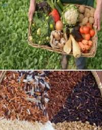 Organic Vegetables